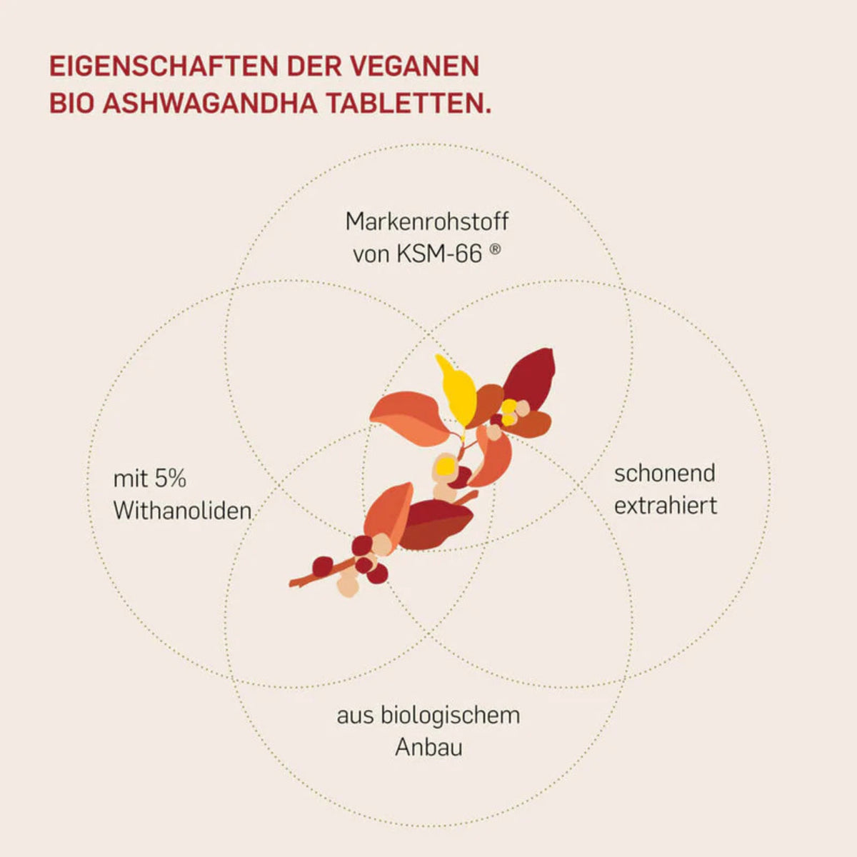 Bio Ashwagandha KSM-66 120 Tabletten