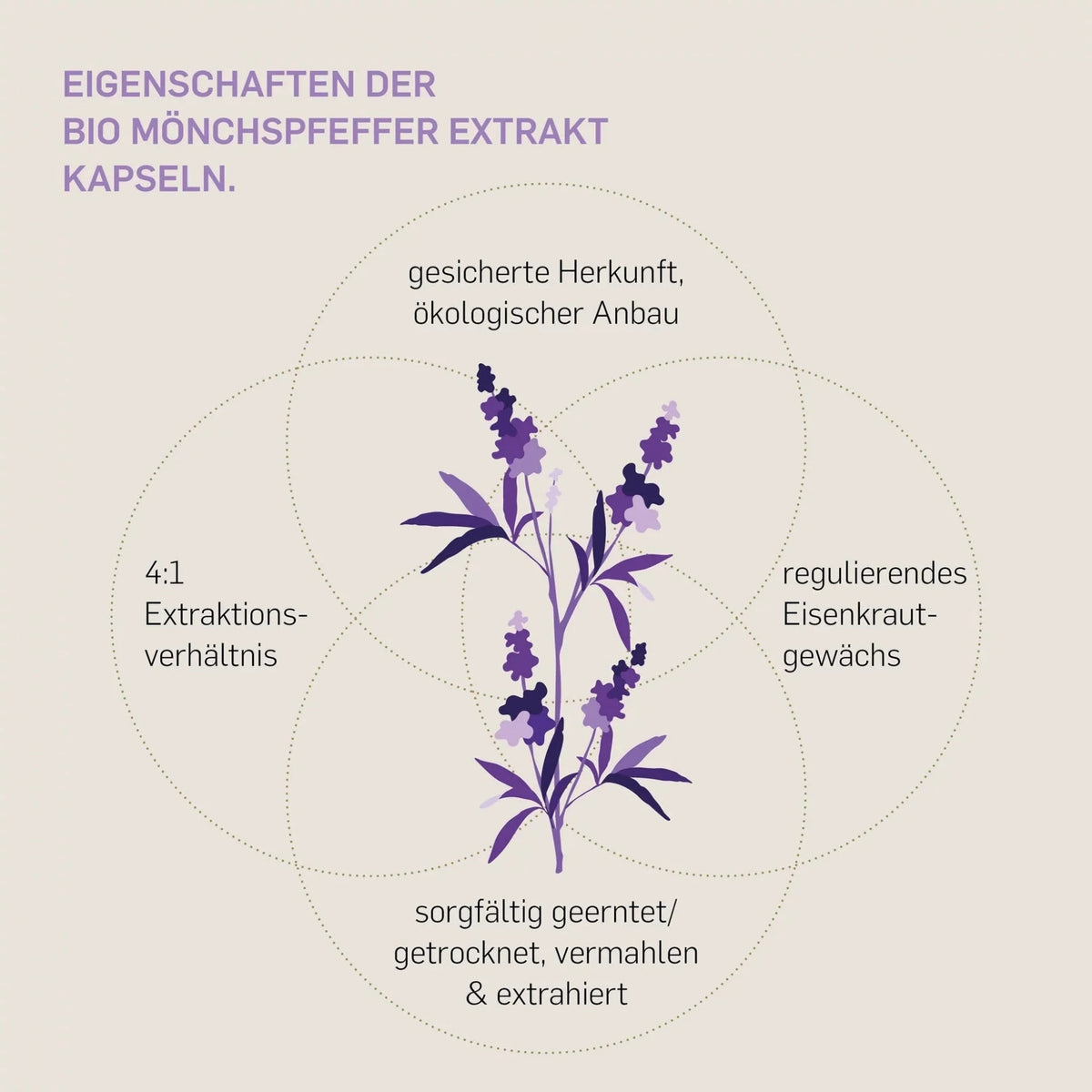 Bio Mönchspfeffer Extrakt 240 Kapseln