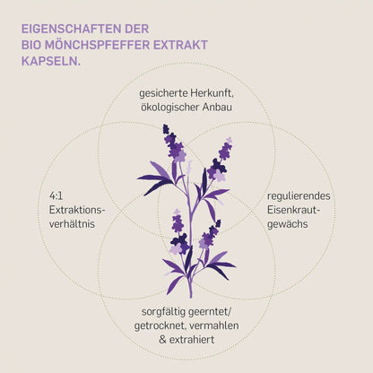 Bio Mönchspfeffer Extrakt 240 Kapseln