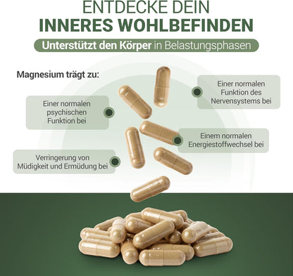 NervoTib 60 Kapseln