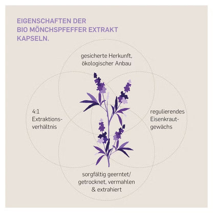 Bio Mönchspfeffer Extrakt 240 Kapseln